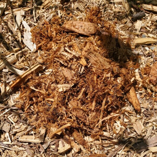 Mulch - Natural Cedar Mulch