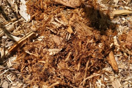 Mulch - Natural Cedar Mulch