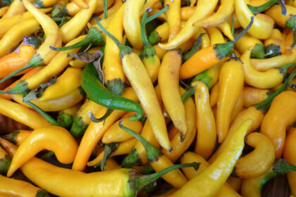 Hot Pepper - Golden Cayenne