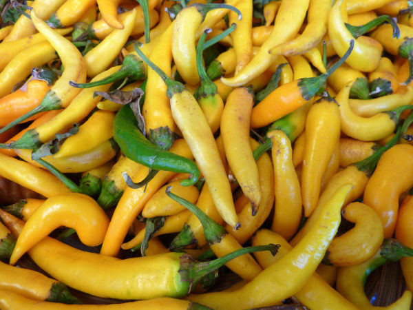 Pepper, Hot - Ho Chi Minh