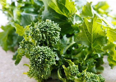 Rapini – Spring Raab –