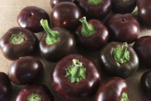 Pepper, hot - Hot Chocolate Cherry