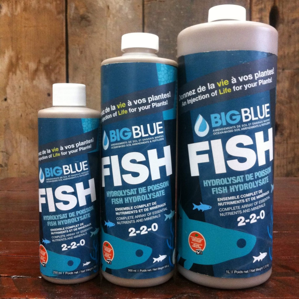 Fertilizer Fish Hydrolysate Urban Seedling