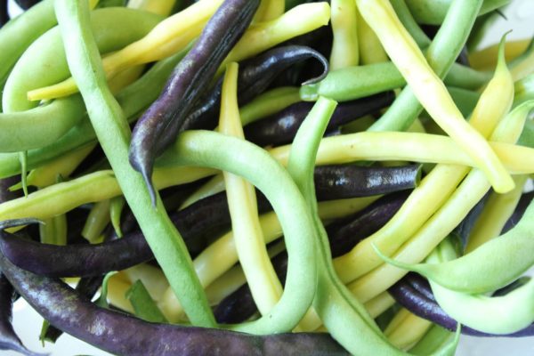 Bean - Snap Bush Bean Mix