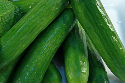 Cucumber - Super Zagross