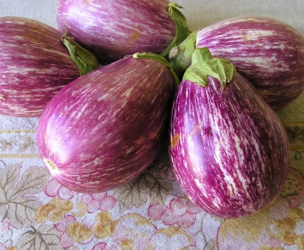 Eggplant - Listada di Gandia