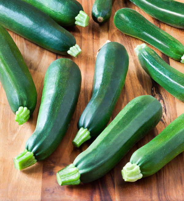 Summer Squash Dark Green Zucchini