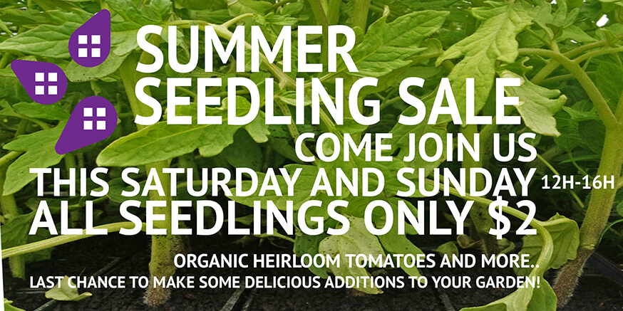 Summer Seedling Sale