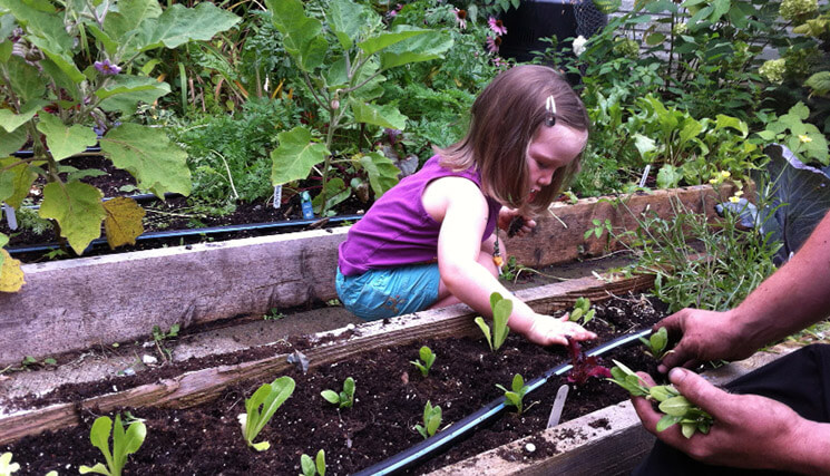 Fall vegetable planting -with danika