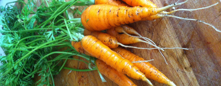 Organic carrots