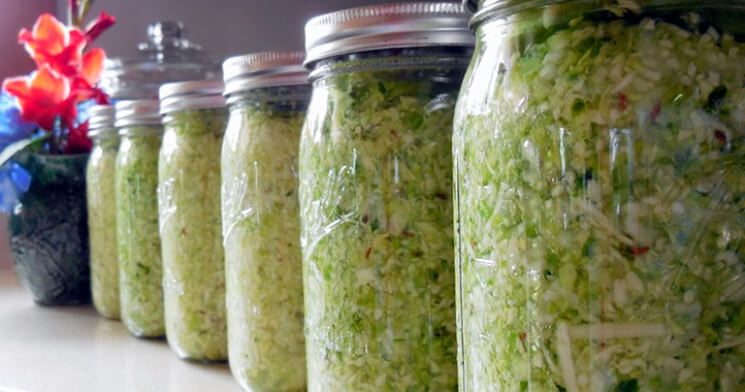 Fermentation jars