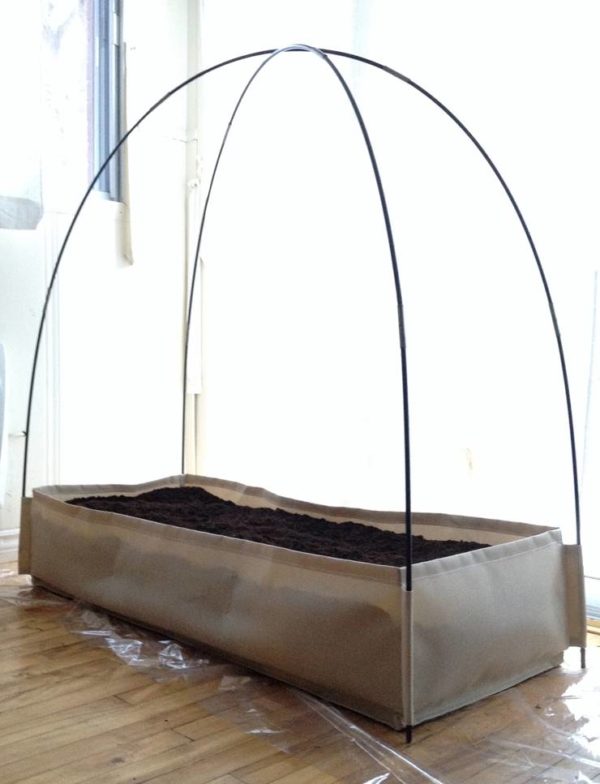The Urban Garden