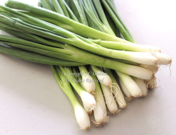 Onion - Evergreen Bunching