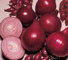 Onion - Red Baron