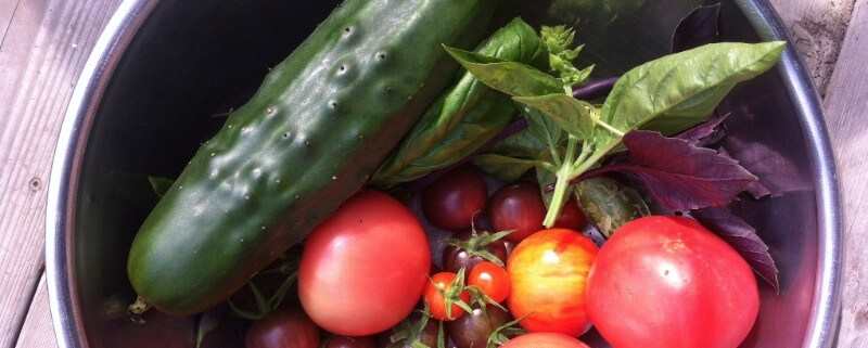 Cucumber & Tomatoes