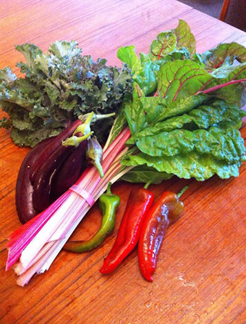 Fresh veggie harvest