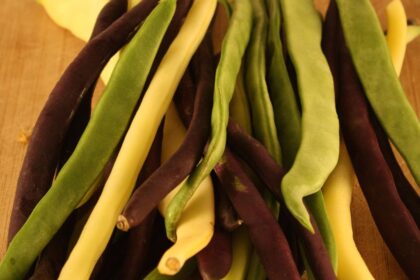 Bean - Snap Pole Bean Mix