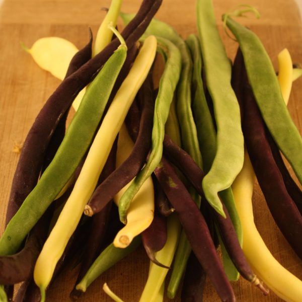 Bean - Snap Pole Bean Mix