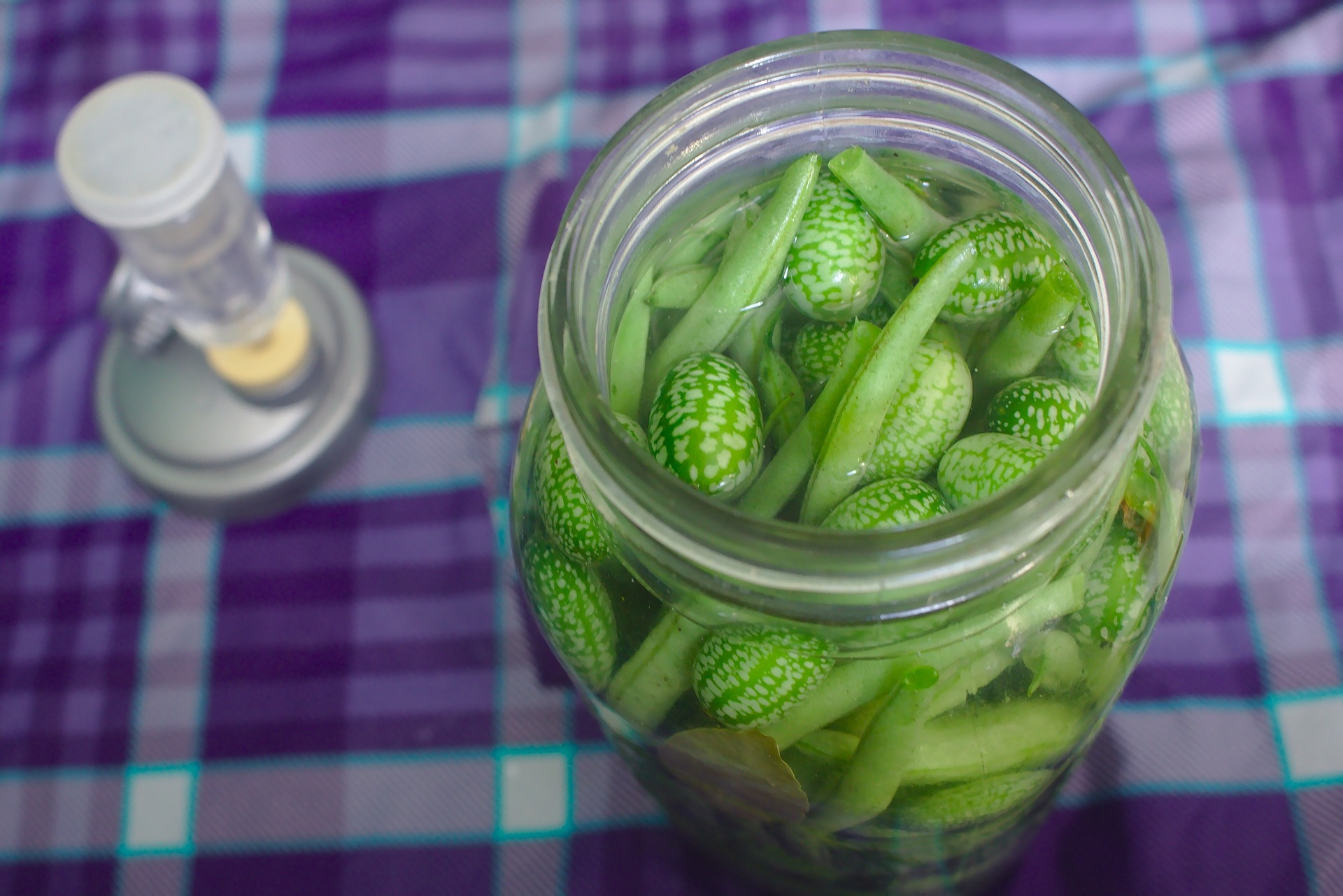 Transform your harvest: learn to make fermented vegetables!