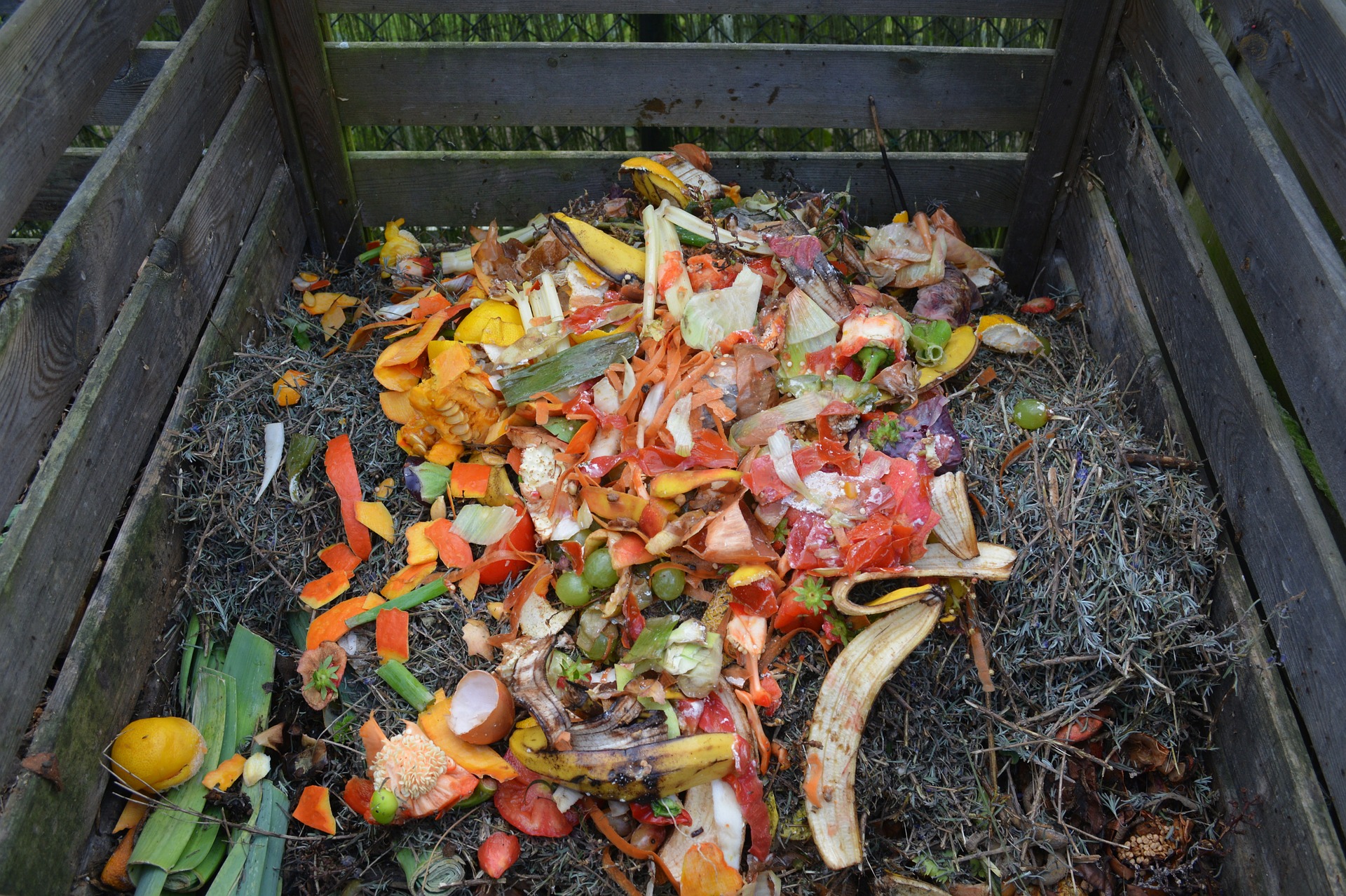 For Healthy Plants: Composting and Soil Fertility