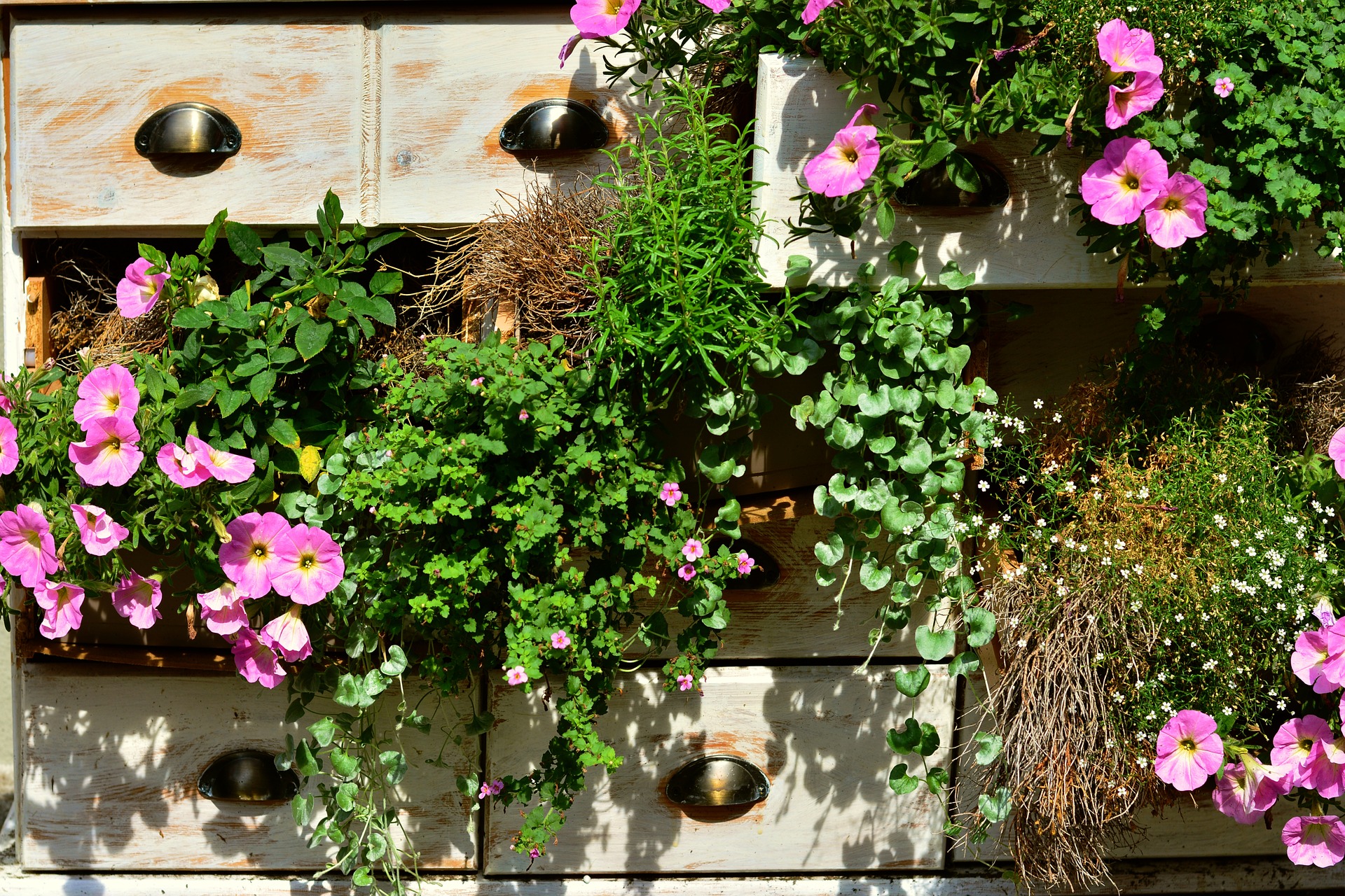 Urban Gardening: Solutions for the Balcony Garden