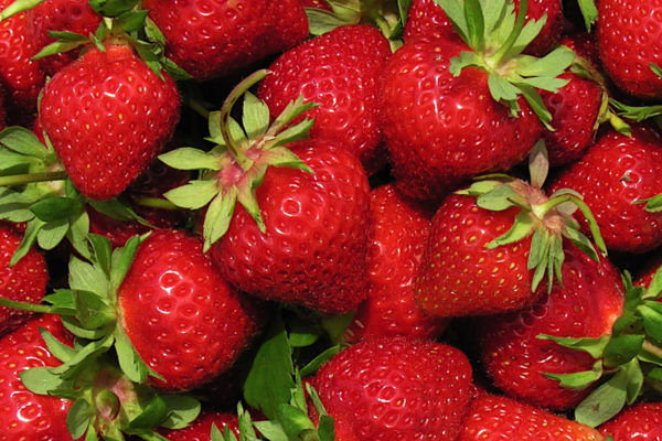 Strawberry - Wendy