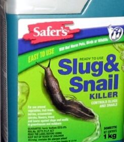 Pest Control - Slug & Snail Bait