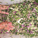 Preparing Fermented Vegetables