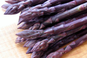 Asparagus - Purple Passion