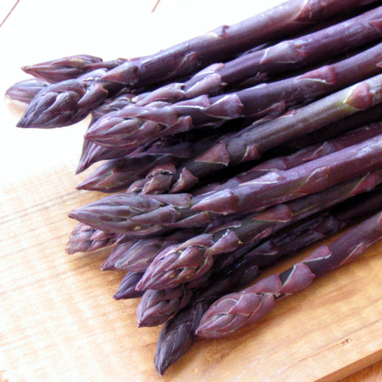 Asparagus Purple Passion Urban Seedling