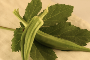 Okra - Clemson Spineless