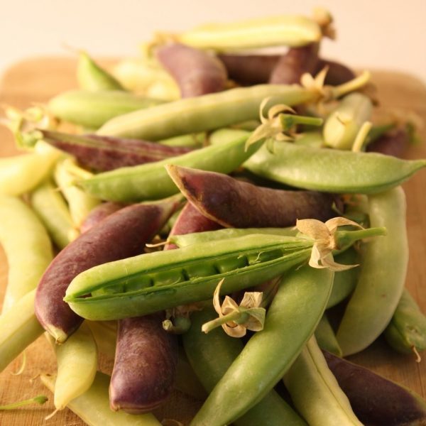 Pea - Sweet Pea Mix