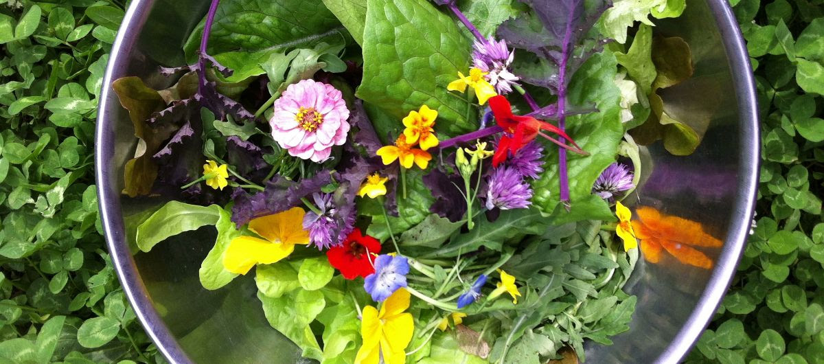 Summer is finally here!?