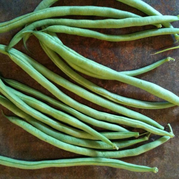 Bean - Green Pole Bean Cobra