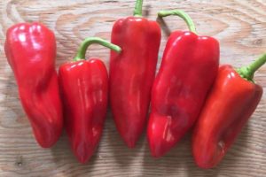 Pepper, Sweet - Karma