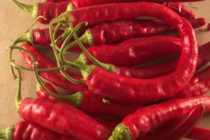 Pepper, Hot - Red Rocket