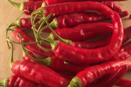 Pepper, Hot - Red Rocket