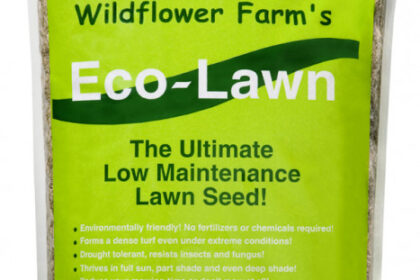 Eco-Lawn Seed