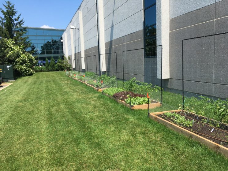 Corporate Gardens