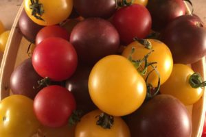 Cherry Tomato Mix