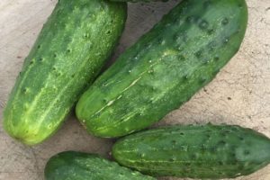 Cucumber - National (pickling cucumber)