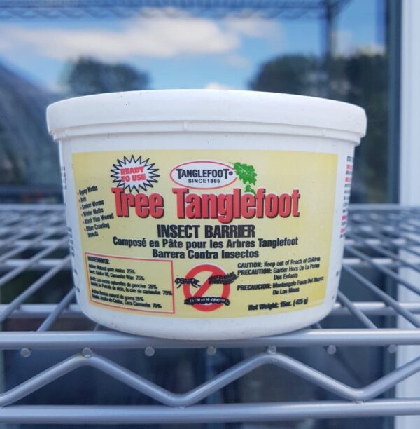 Pest Control – Tree Tanglefoot Sticky Coatings 15oz