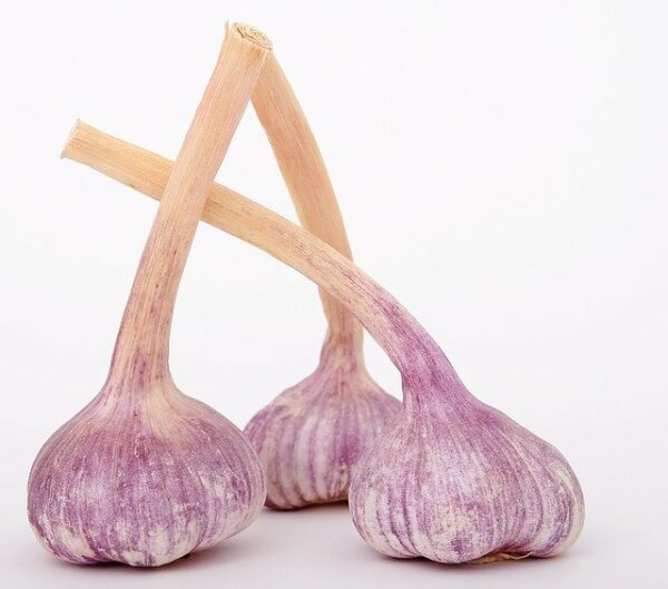 Garlic bulb - Music