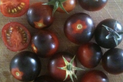 Tomato - Dancing with Smurfs