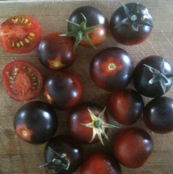 Tomato - Dancing with Smurfs