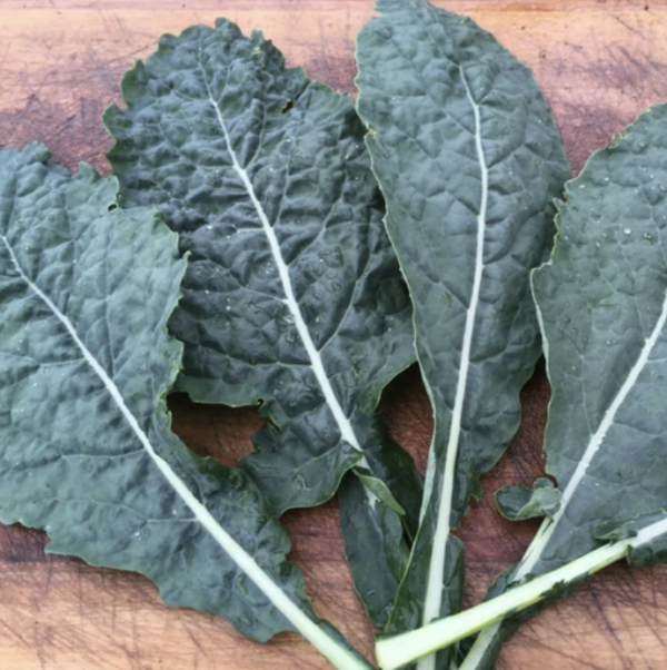 Kale - Lacinato