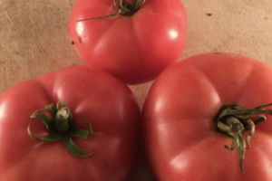 Tomato - Mac Pink