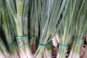 Green Onion - Parade