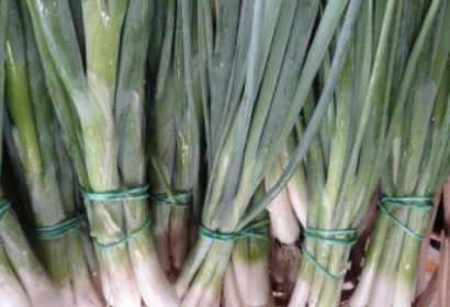 Green Onion - Parade