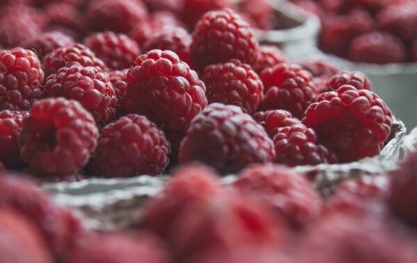 Raspberry Heritage